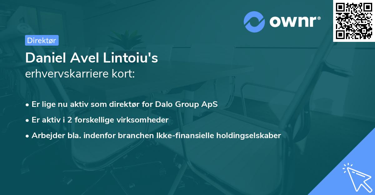 Daniel Avel Lintoiu's erhvervskarriere kort