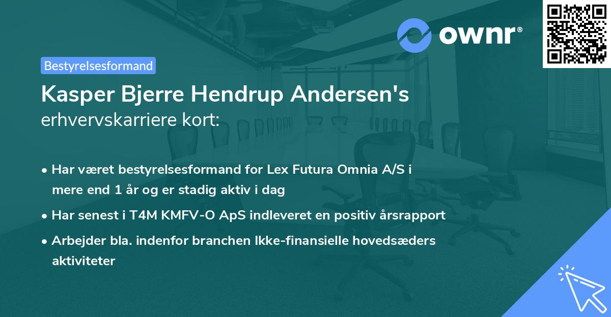 Kasper Bjerre Hendrup Andersen's erhvervskarriere kort