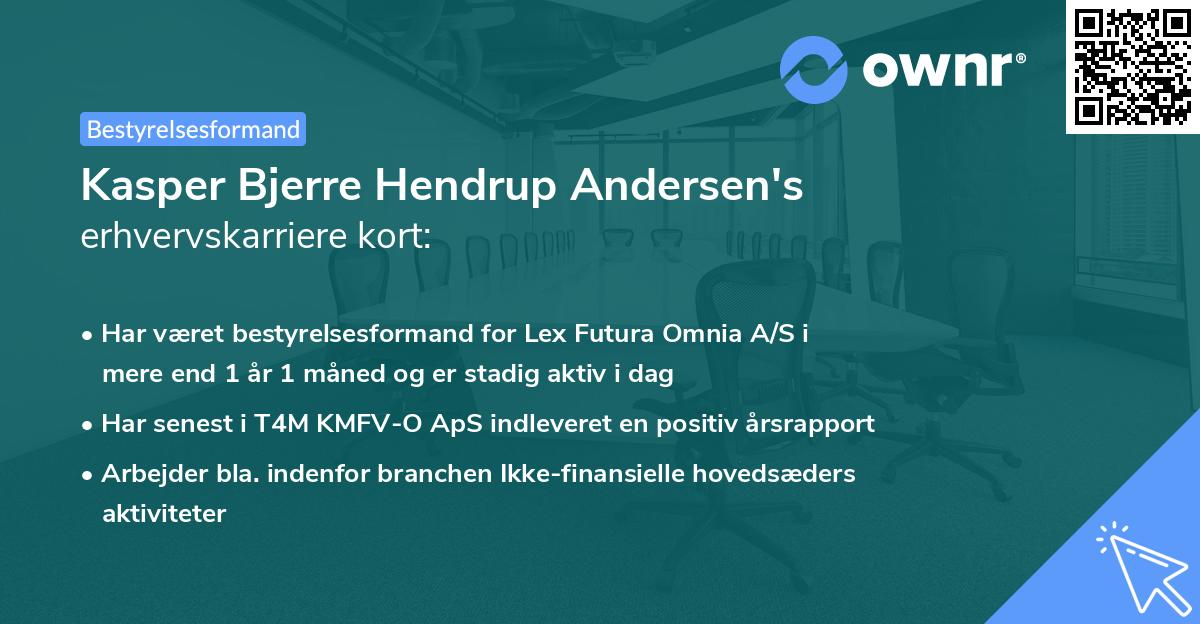 Kasper Bjerre Hendrup Andersen's erhvervskarriere kort