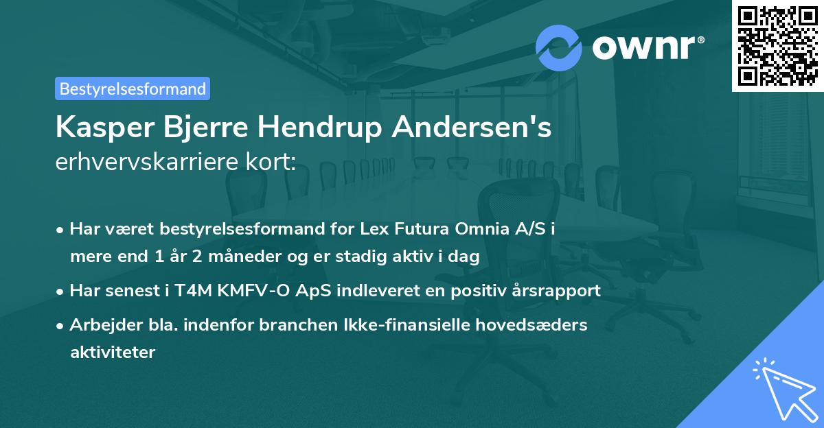 Kasper Bjerre Hendrup Andersen's erhvervskarriere kort