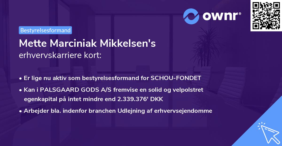 Mette Marciniak Mikkelsen's erhvervskarriere kort