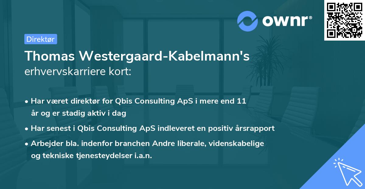 Thomas Westergaard-Kabelmann's erhvervskarriere kort
