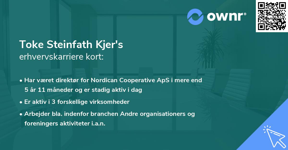 Toke Steinfath Kjer's erhvervskarriere kort