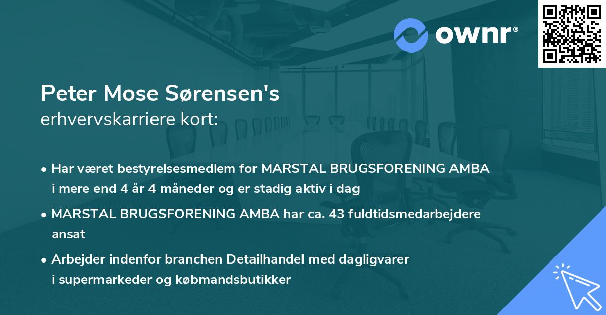 Peter Mose Sørensen's erhvervskarriere kort
