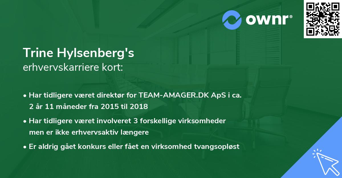 Trine Hylsenberg's erhvervskarriere kort