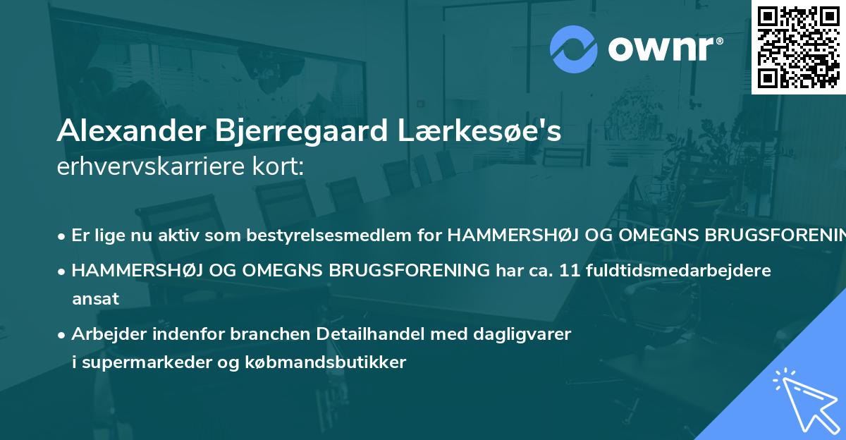 Alexander Bjerregaard Lærkesøe's erhvervskarriere kort