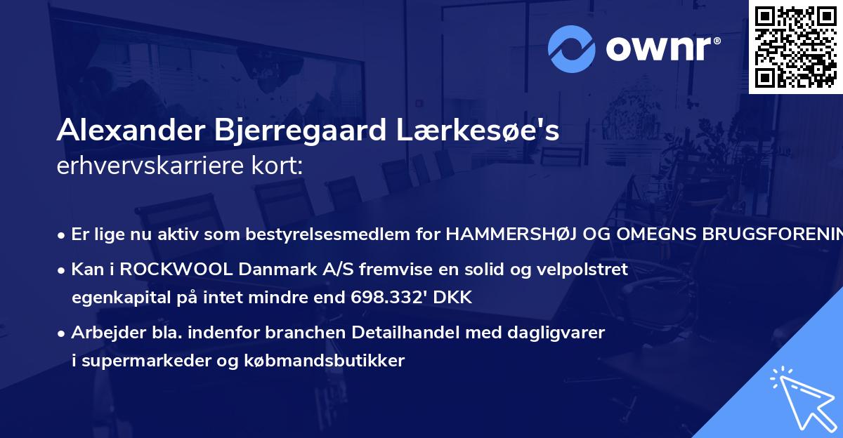 Alexander Bjerregaard Lærkesøe's erhvervskarriere kort