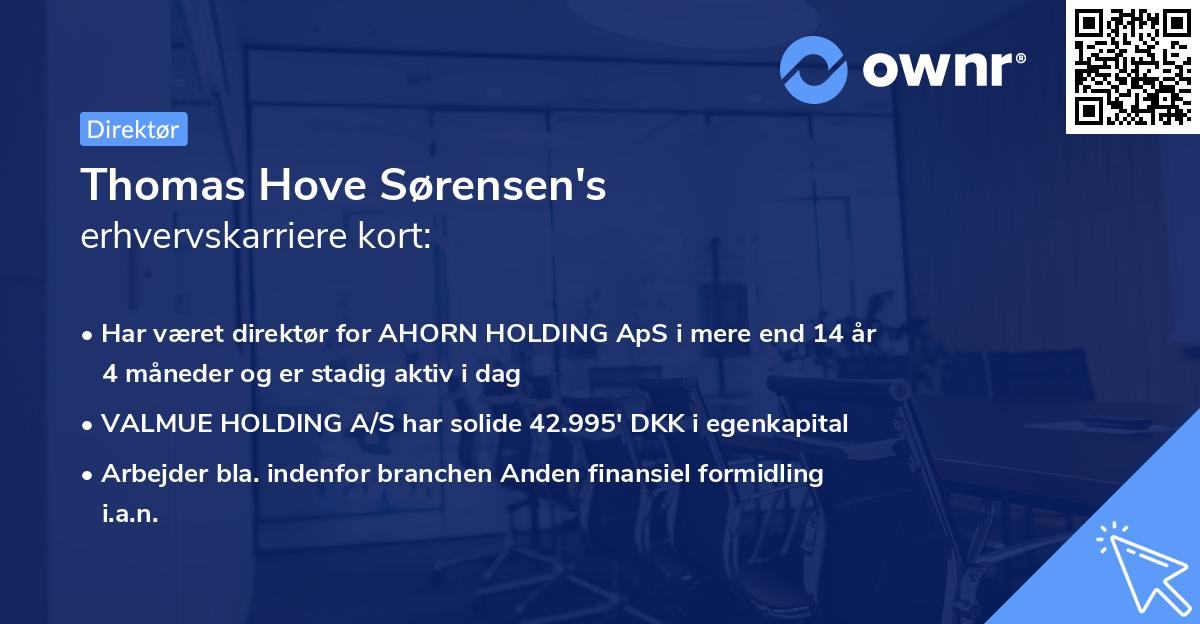 Thomas Hove Sørensen's erhvervskarriere kort