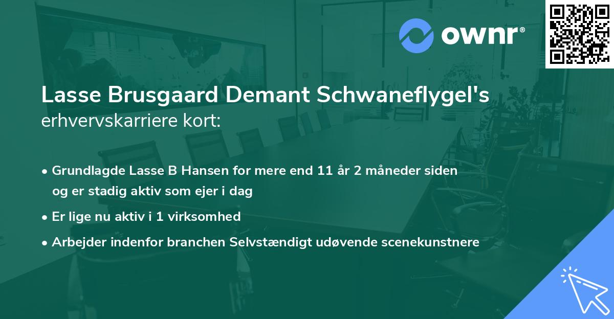 Lasse Brusgaard Demant Schwaneflygel's erhvervskarriere kort