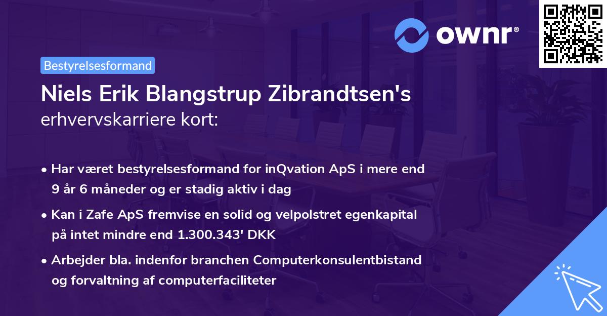 Niels Erik Blangstrup Zibrandtsen's erhvervskarriere kort