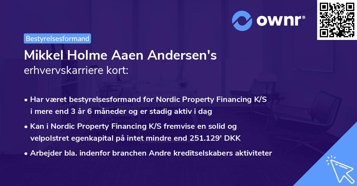 Mikkel Holme Aaen Andersen's erhvervskarriere kort