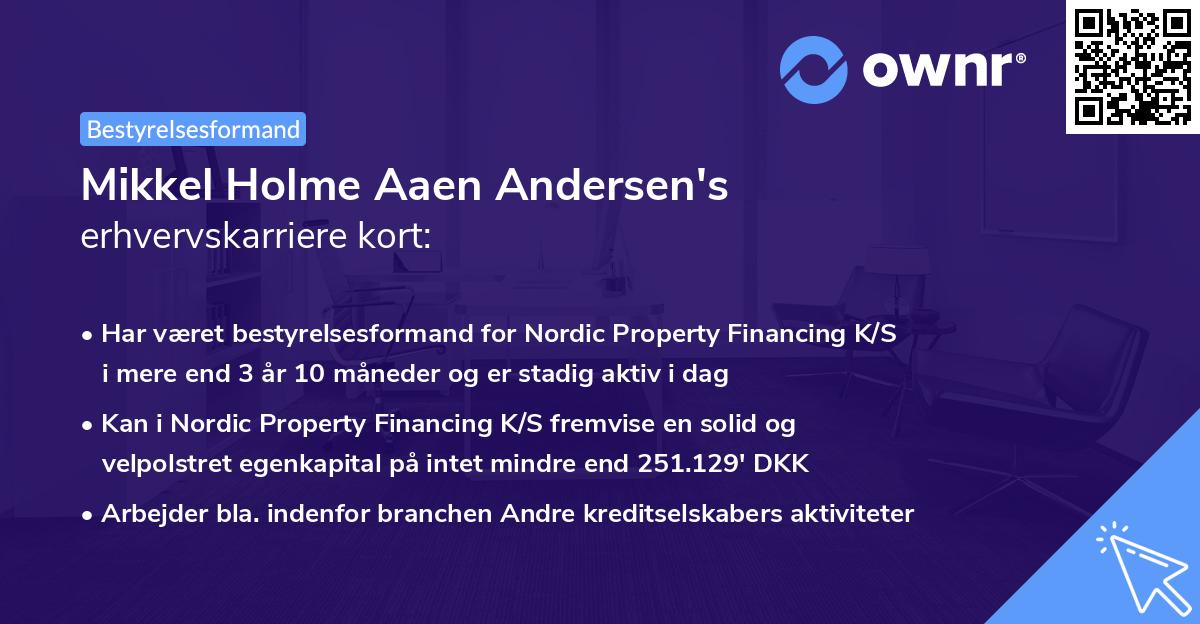 Mikkel Holme Aaen Andersen's erhvervskarriere kort