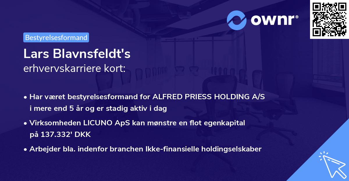 Lars Blavnsfeldt's erhvervskarriere kort