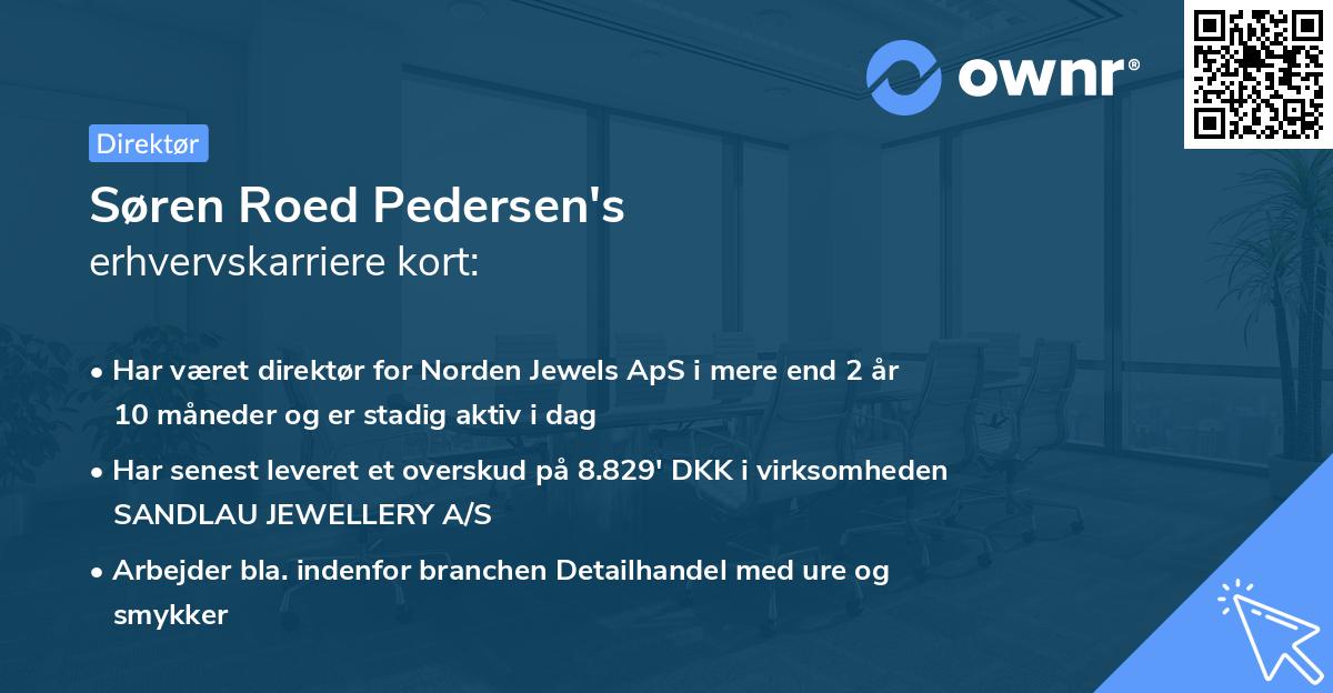 Søren Roed Pedersen's erhvervskarriere kort