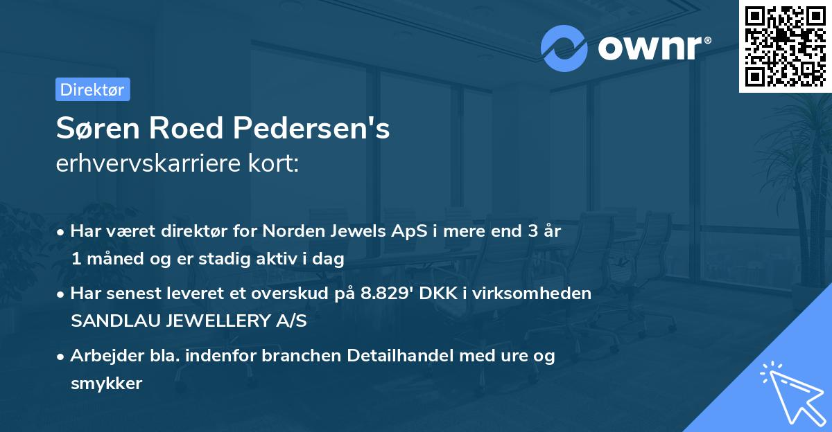 Søren Roed Pedersen's erhvervskarriere kort