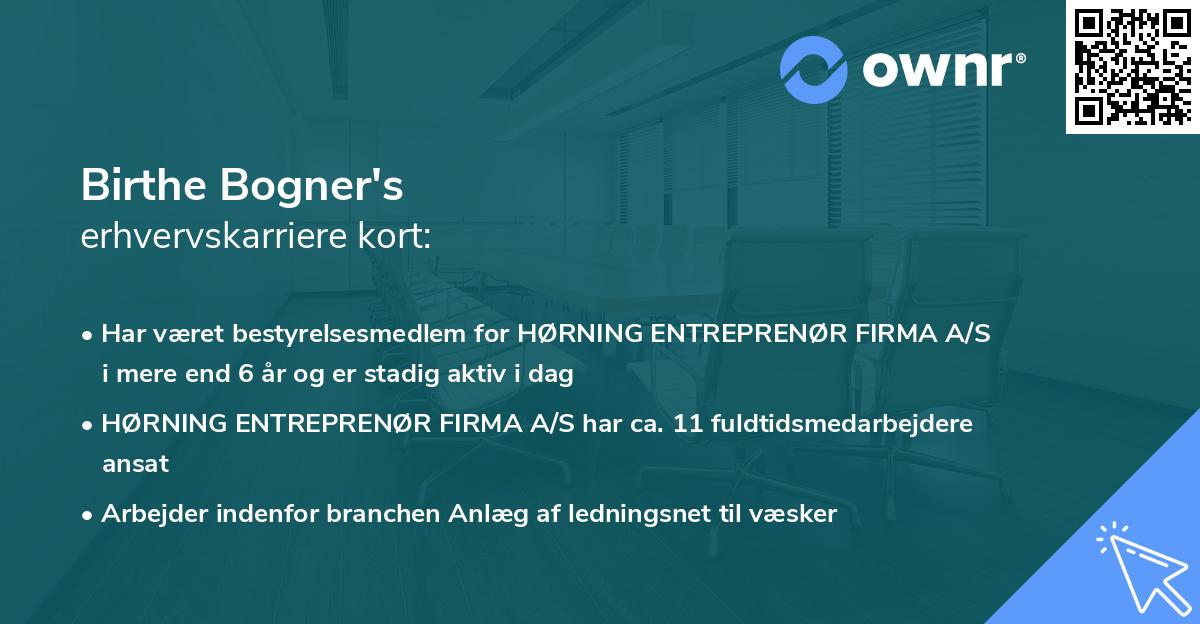 Birthe Bogner's erhvervskarriere kort