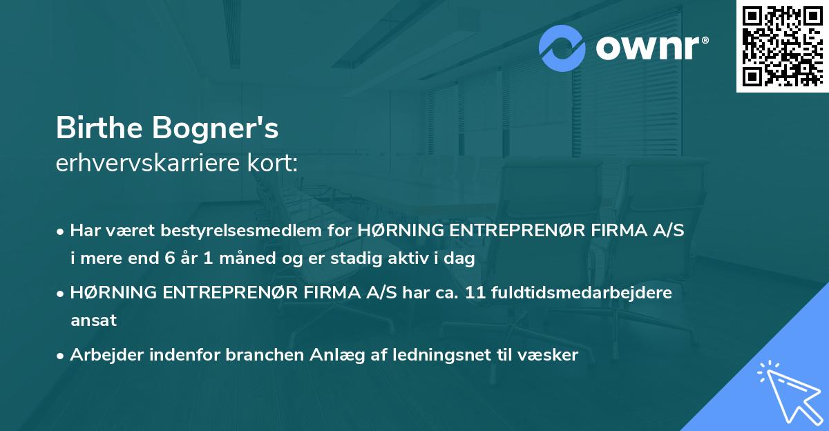 Birthe Bogner's erhvervskarriere kort
