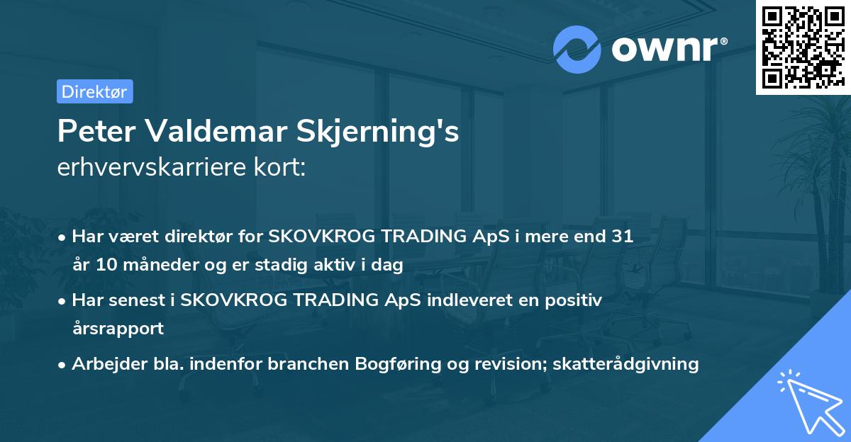Peter Valdemar Skjerning's erhvervskarriere kort