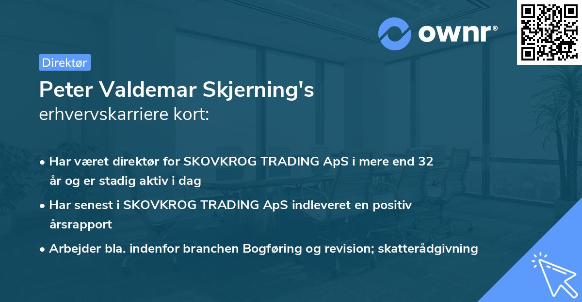 Peter Valdemar Skjerning's erhvervskarriere kort