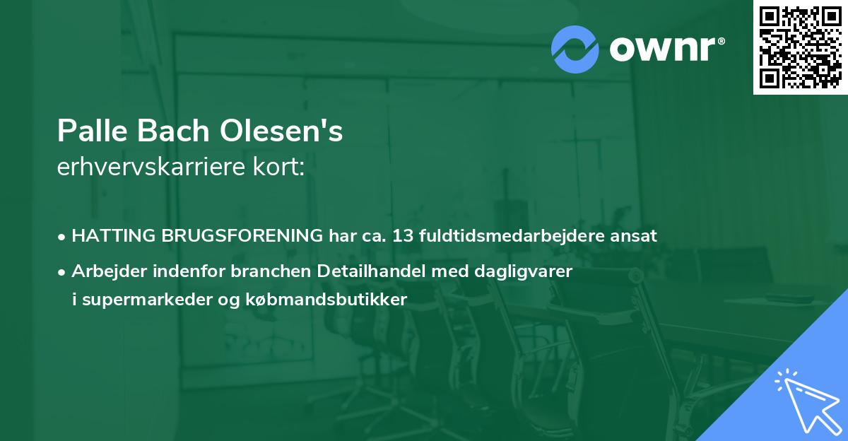 Palle Bach Olesen's erhvervskarriere kort