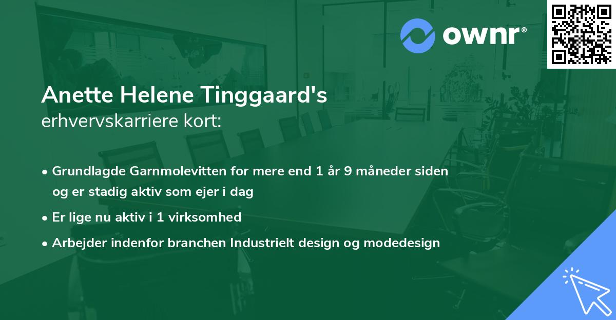 Anette Helene Tinggaard's erhvervskarriere kort