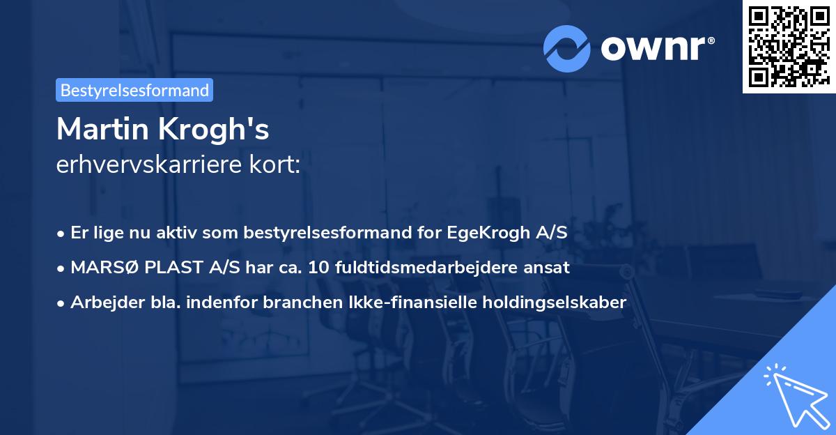 Martin Krogh's erhvervskarriere kort