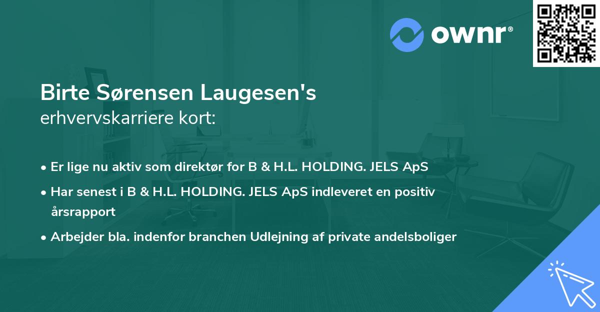 Birte Sørensen Laugesen's erhvervskarriere kort