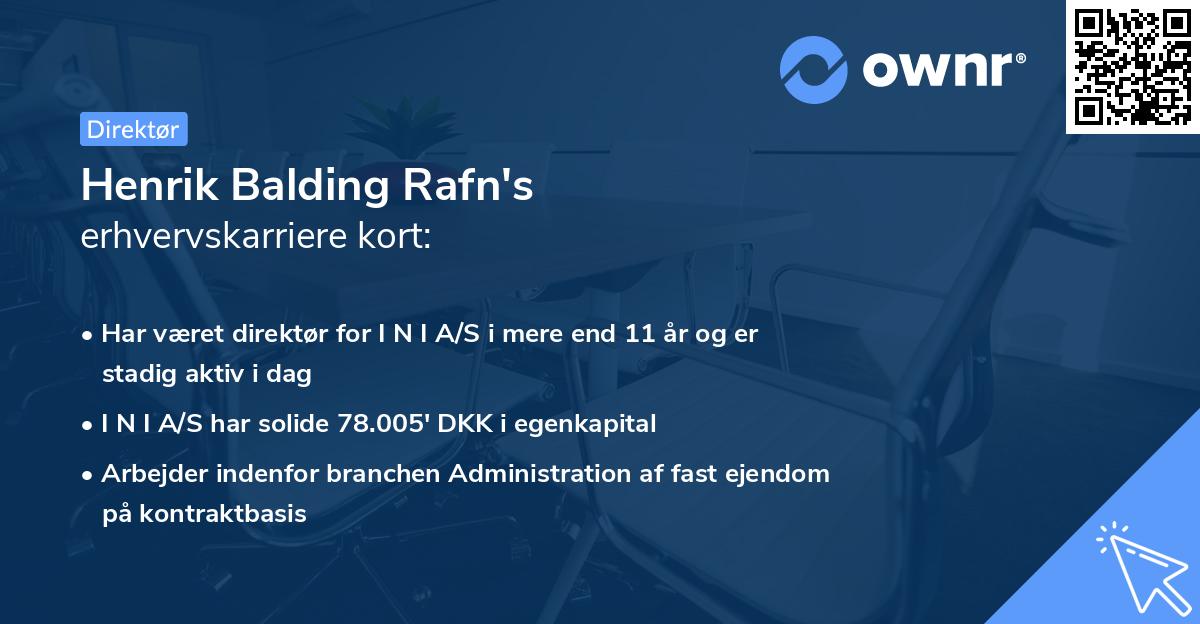 Henrik Balding Rafn's erhvervskarriere kort