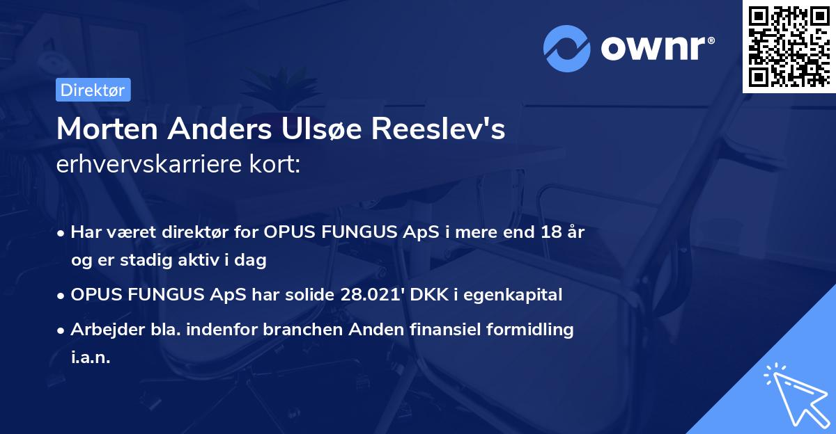 Morten Anders Ulsøe Reeslev's erhvervskarriere kort
