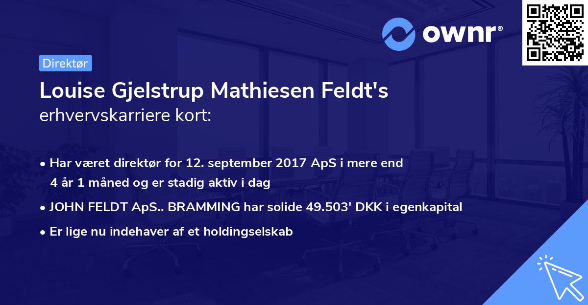 Louise Gjelstrup Mathiesen Feldt's erhvervskarriere kort