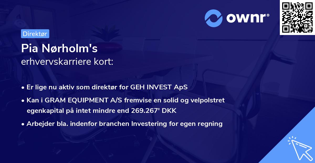 Pia Nørholm's erhvervskarriere kort