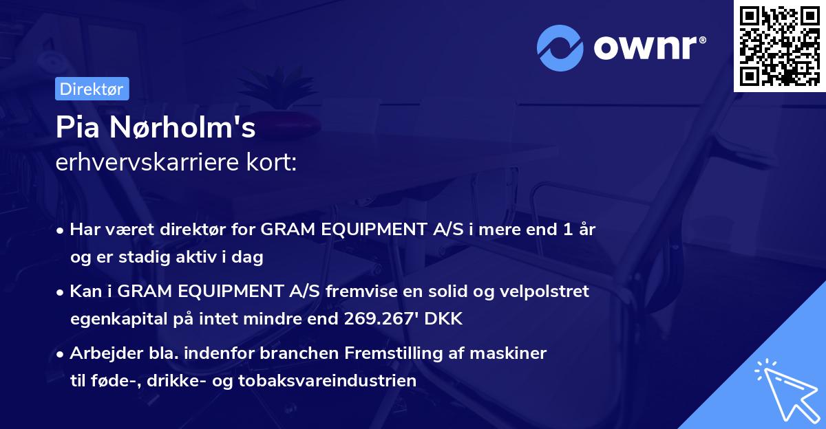 Pia Nørholm's erhvervskarriere kort