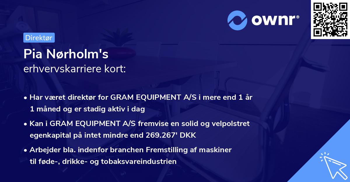 Pia Nørholm's erhvervskarriere kort
