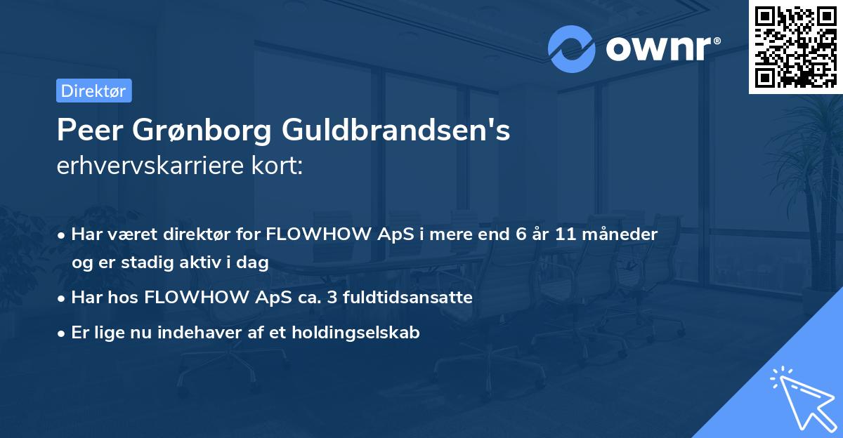 Peer Grønborg Guldbrandsen's erhvervskarriere kort