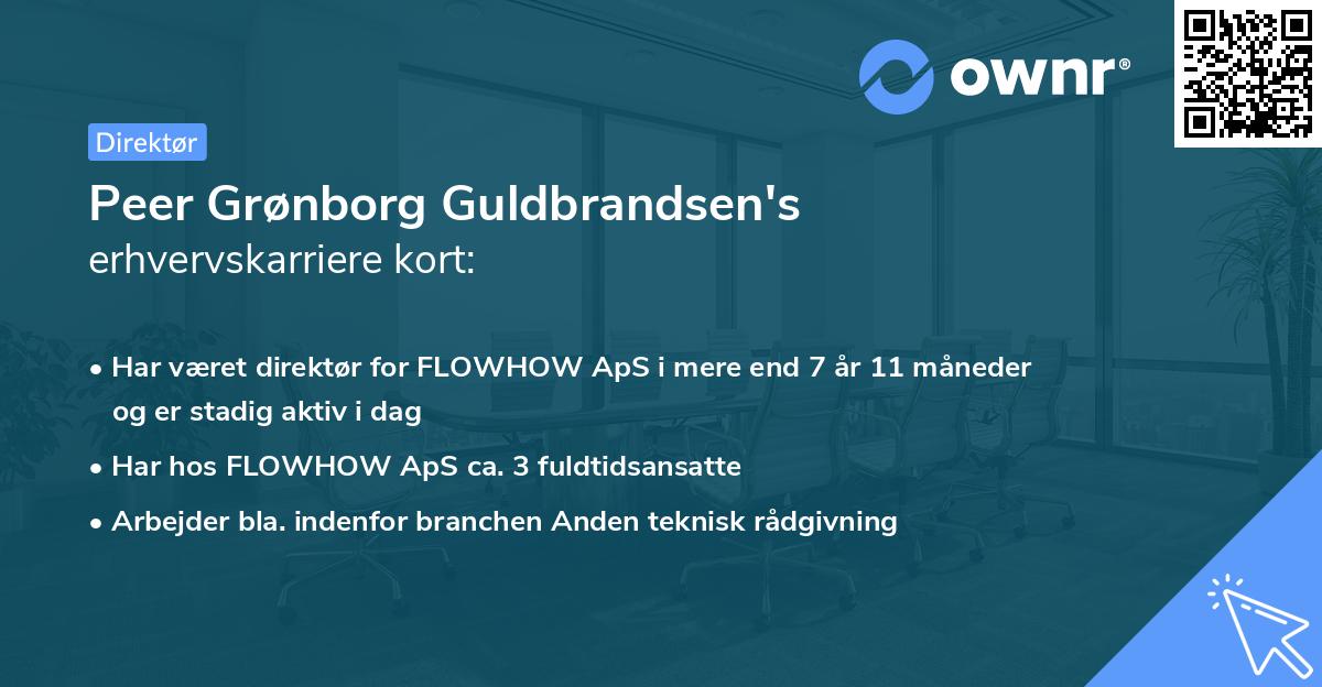 Peer Grønborg Guldbrandsen's erhvervskarriere kort