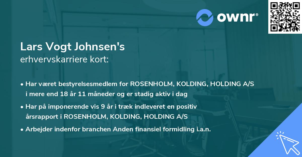 Lars Vogt Johnsen's erhvervskarriere kort