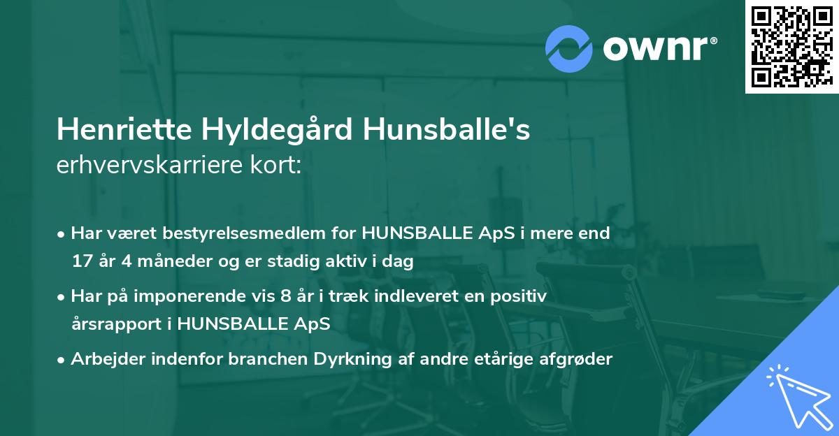 Henriette Hyldegård Hunsballe's erhvervskarriere kort