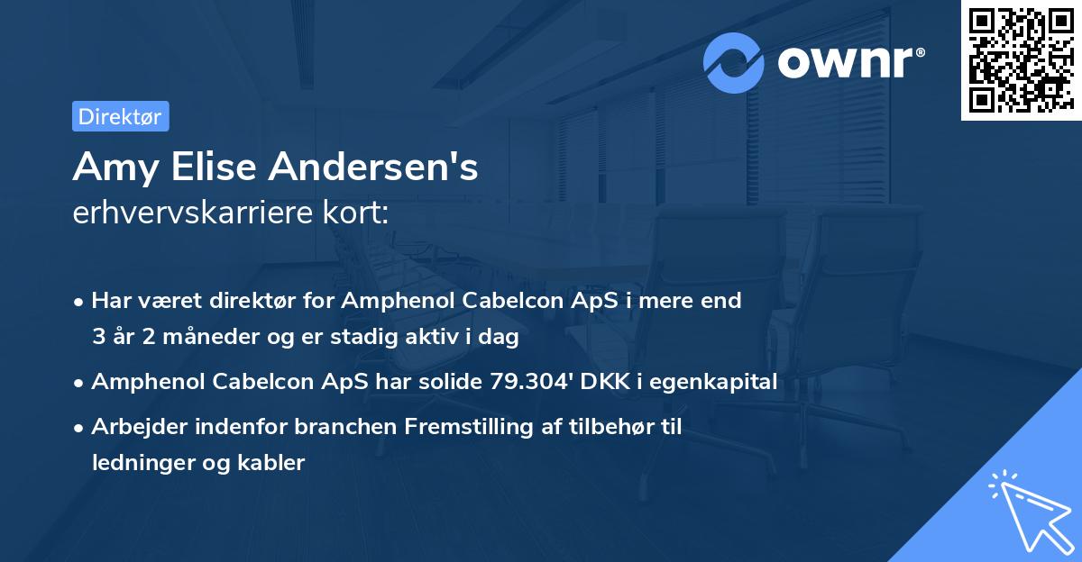 Amy Elise Andersen's erhvervskarriere kort