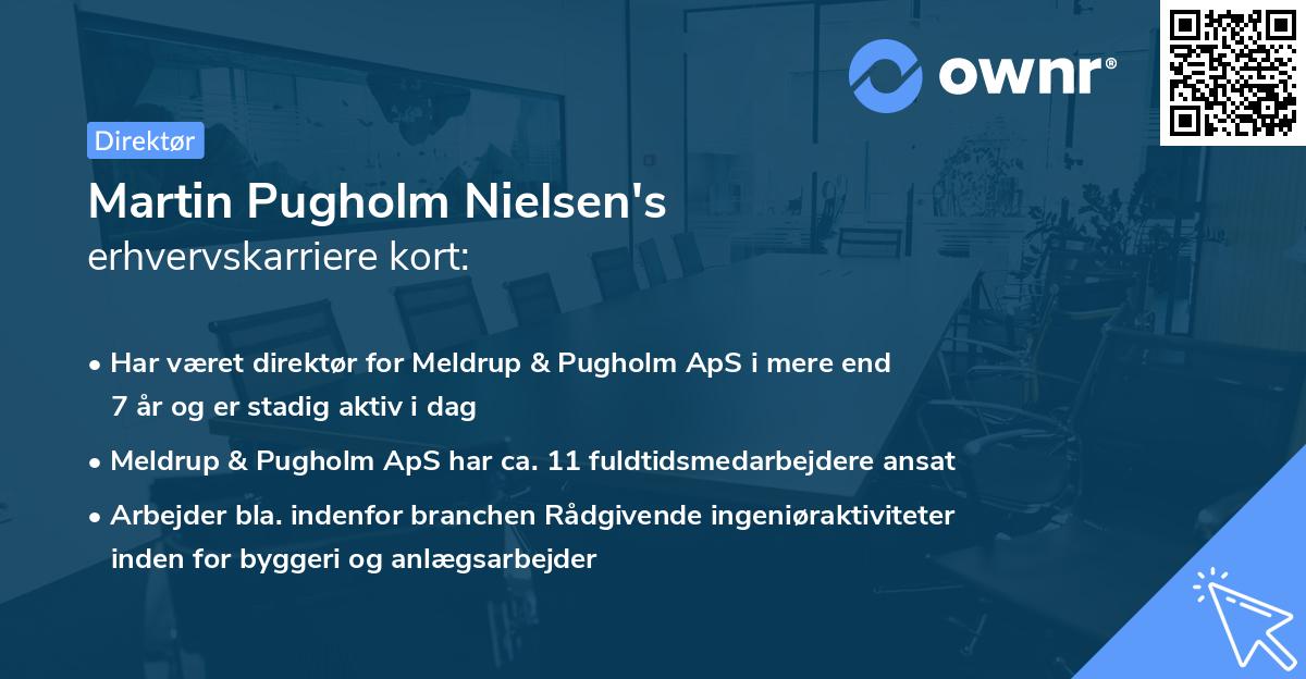 Martin Pugholm Nielsen's erhvervskarriere kort