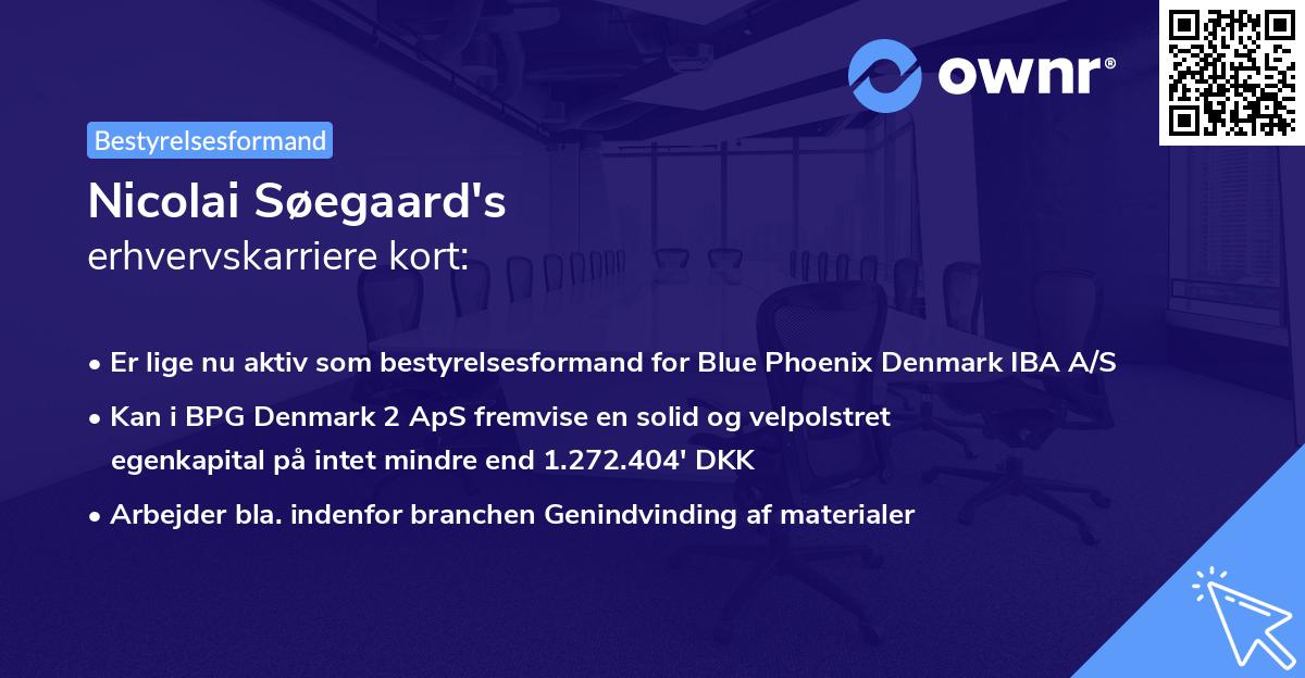 Nicolai Søegaard's erhvervskarriere kort