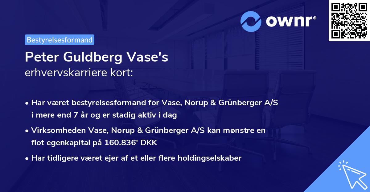 Peter Guldberg Vase's erhvervskarriere kort