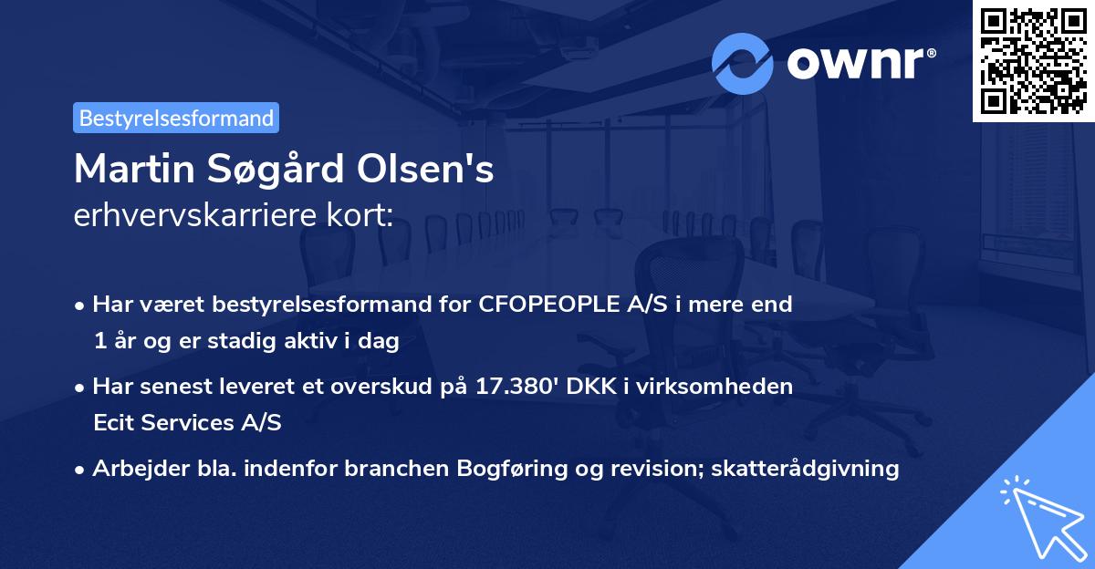 Martin Søgård Olsen's erhvervskarriere kort