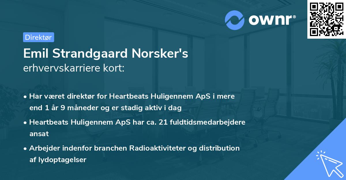 Emil Strandgaard Norsker's erhvervskarriere kort