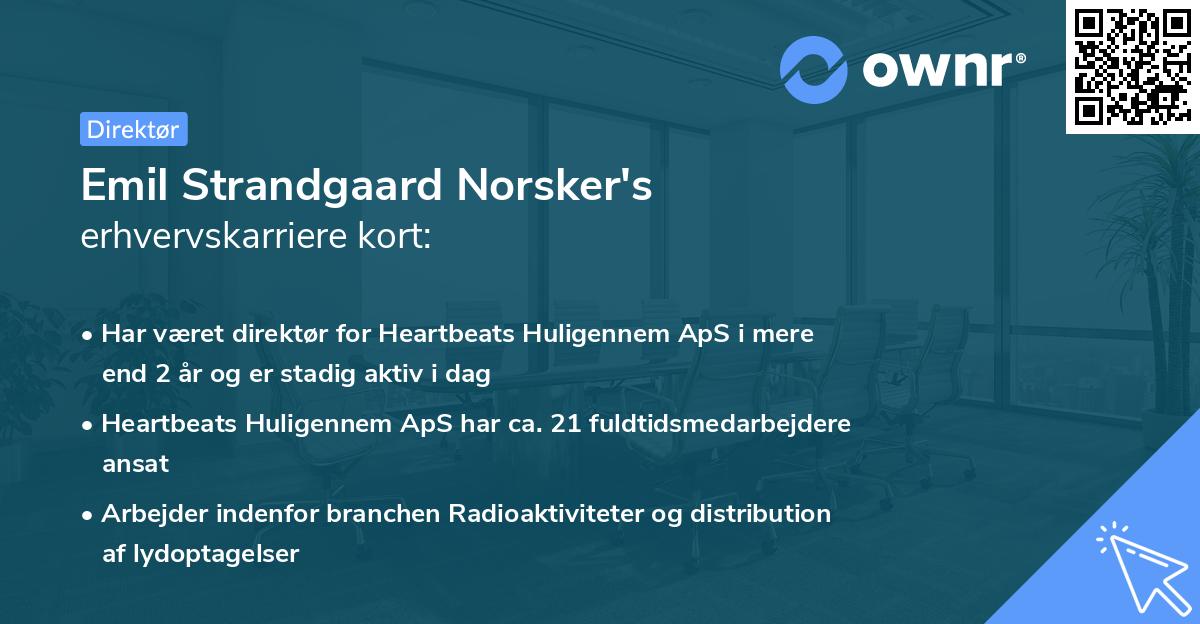 Emil Strandgaard Norsker's erhvervskarriere kort