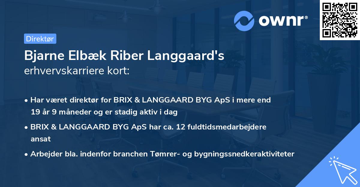 Bjarne Elbæk Riber Langgaard's erhvervskarriere kort