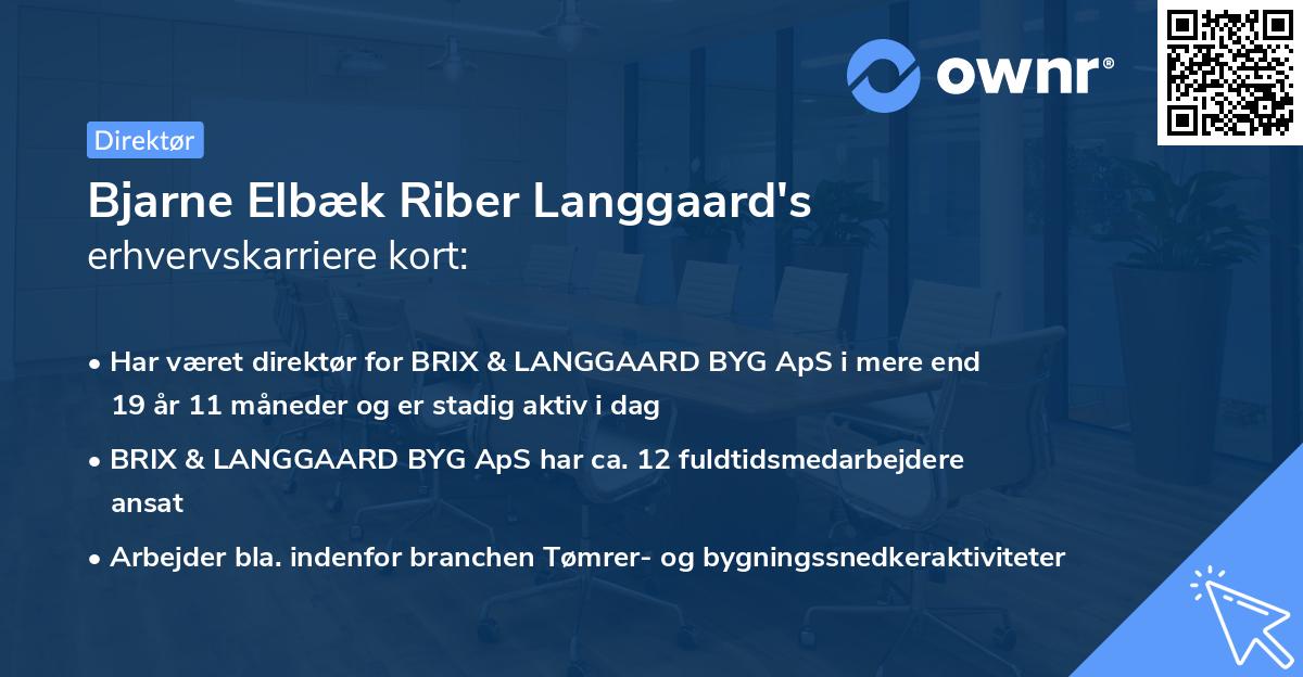 Bjarne Elbæk Riber Langgaard's erhvervskarriere kort
