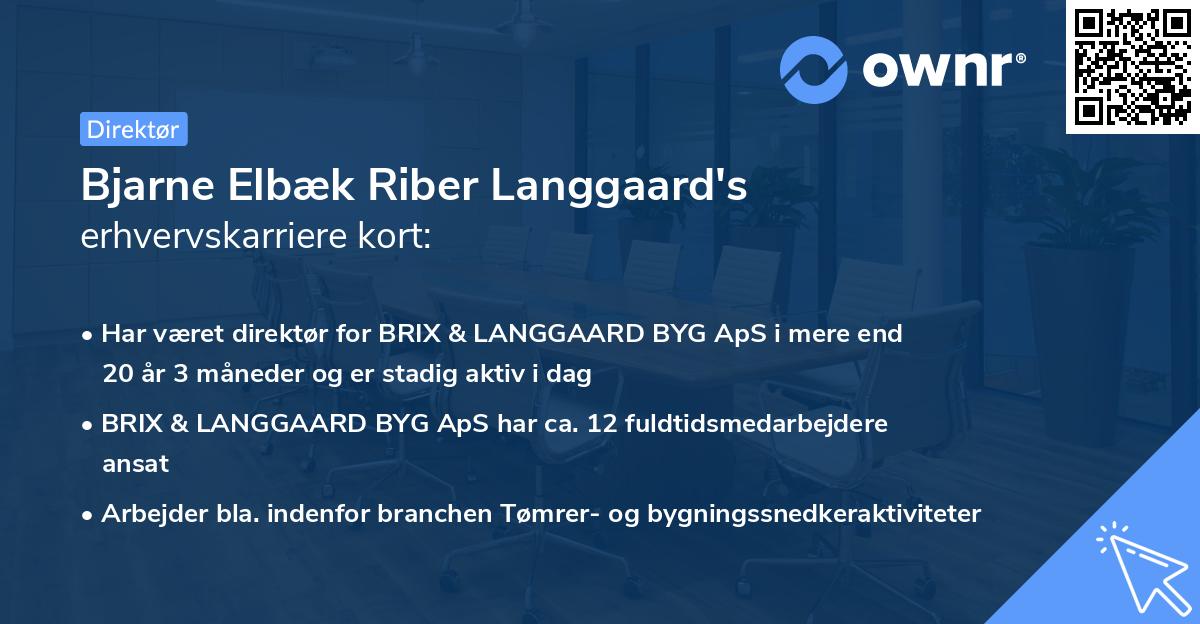 Bjarne Elbæk Riber Langgaard's erhvervskarriere kort