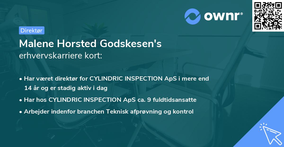 Malene Horsted Godskesen's erhvervskarriere kort