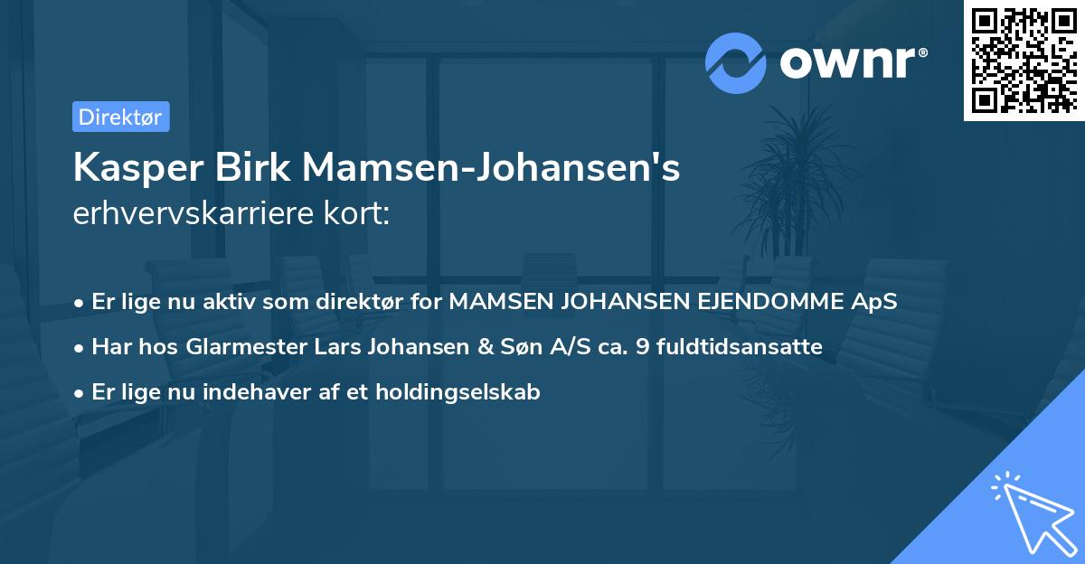 Kasper Birk Mamsen-Johansen's erhvervskarriere kort