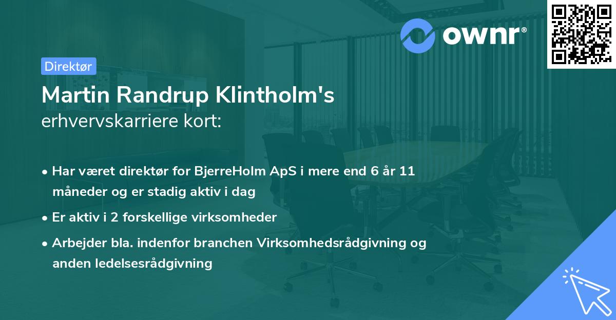 Martin Randrup Klintholm's erhvervskarriere kort